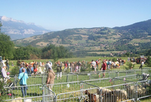 Foire agricole du Pinet-d'Uriage