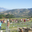 Foire agricole du Pinet-d'Uriage