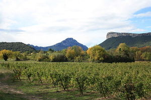 Frais de Port
