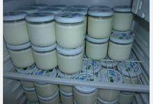 yaourts nature et vanille, lait de brebis