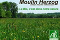 Moulin Herzog