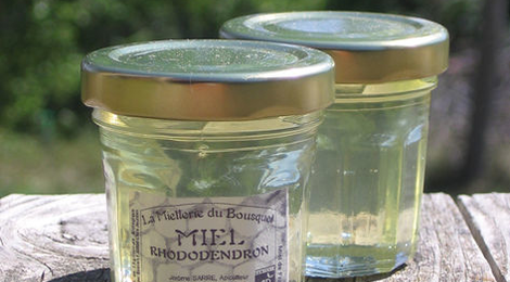 Miel de Rhododendron sauvage des Pyrénées  Bio