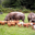 Ferme Biologique De Kerneveno