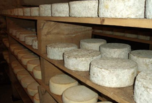 La Tomme Du Nevet