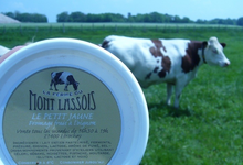Le petit jaune, fromage frais à l'oignon