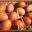 Oeufs de la ferme