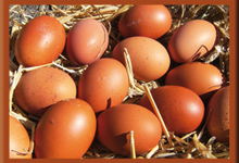 La Ferme Du Lieuvy