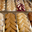 Crème glacée au biscuit breton