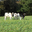 ferme de ste anne des bois