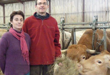 Alain Le Digabel , Blonde d'Aquitaine
