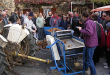 Foire De La Châtaigne- Ayssenes