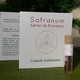 Tube de Safran de Provence Safranum et ses conseils d'utilisation