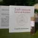 Tube de Safran de Provence Safranum