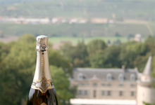 Champagne Prestige - Blancs de Blancs - Magnum