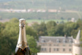 Champagne Prestige - Blancs de Blancs - Magnum