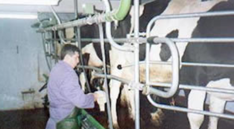 Lait