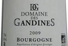 Vin Rouge Bourgogne - Pinot Noir - Cuvée Nature