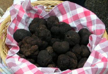 Fête de la Truffe, du terroir et de la langue occitane