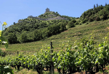 Marché aux Vins des Côtes du Rhône Septentrionales