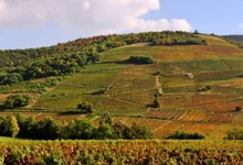 Salon gastronomique - Quincie En Beaujolais