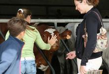 Les Mercredis à la ferme