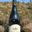 Vin Beaujolais - AOC Fleurie Vieilles Vignes 2011 - Domaine de la Madone
