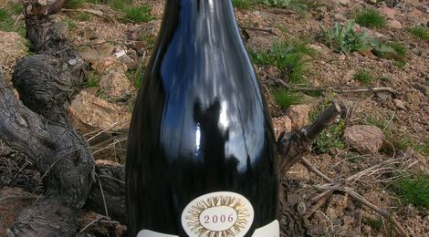 Vin Beaujolais - AOC Fleurie Grille Midi Vieilles Vignes 2010 - Domaine de la Madone