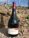 Vin Beaujolais - AOC Fleurie Prestige 2007 - Domaine de la Madone