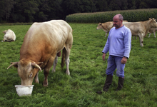 EARL des Marroniers, viande bovine