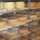 EARL Er Spernen, la fromagerie d'Eugénie