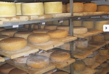 EARL Er Spernen, la fromagerie d'Eugénie