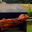 cochon de lait entier