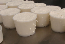 La maguette de Rosult, fromage de chèvre