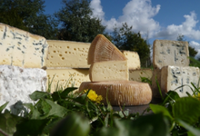 Fromage Le Darley