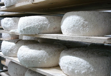 Fromagerie DARLEY