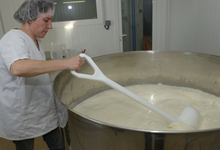 Fromagerie de Mézard