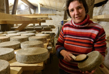 Fromagerie de Mézard
