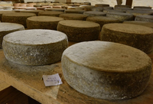 Fromagerie de Mézard