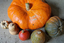 Courge de cahors