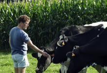 Hervé Radenac, viande de boeuf