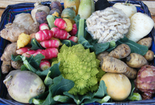 légumes anciens