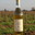 Pineau des Charentes Blanc 