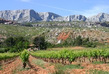 Vignoble Sainte Victoire
