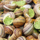 Monique Hello, escargots