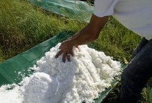 Fleur de sel