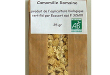 Camomille Romaine