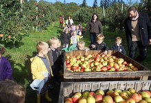 Pommes