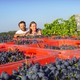 Domaine de l'ancienne mercerie