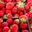 Regis Pichon, fraises