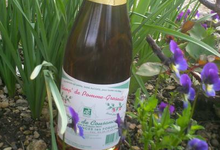 pétillant pomme groseille